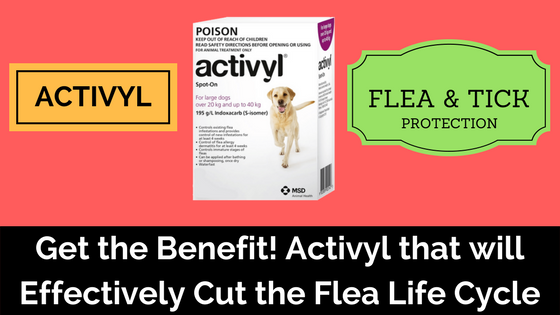 Activyl for dogs - Pet Care Supplies Blog
