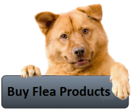 Buy-Flea-Products-for-Dogs